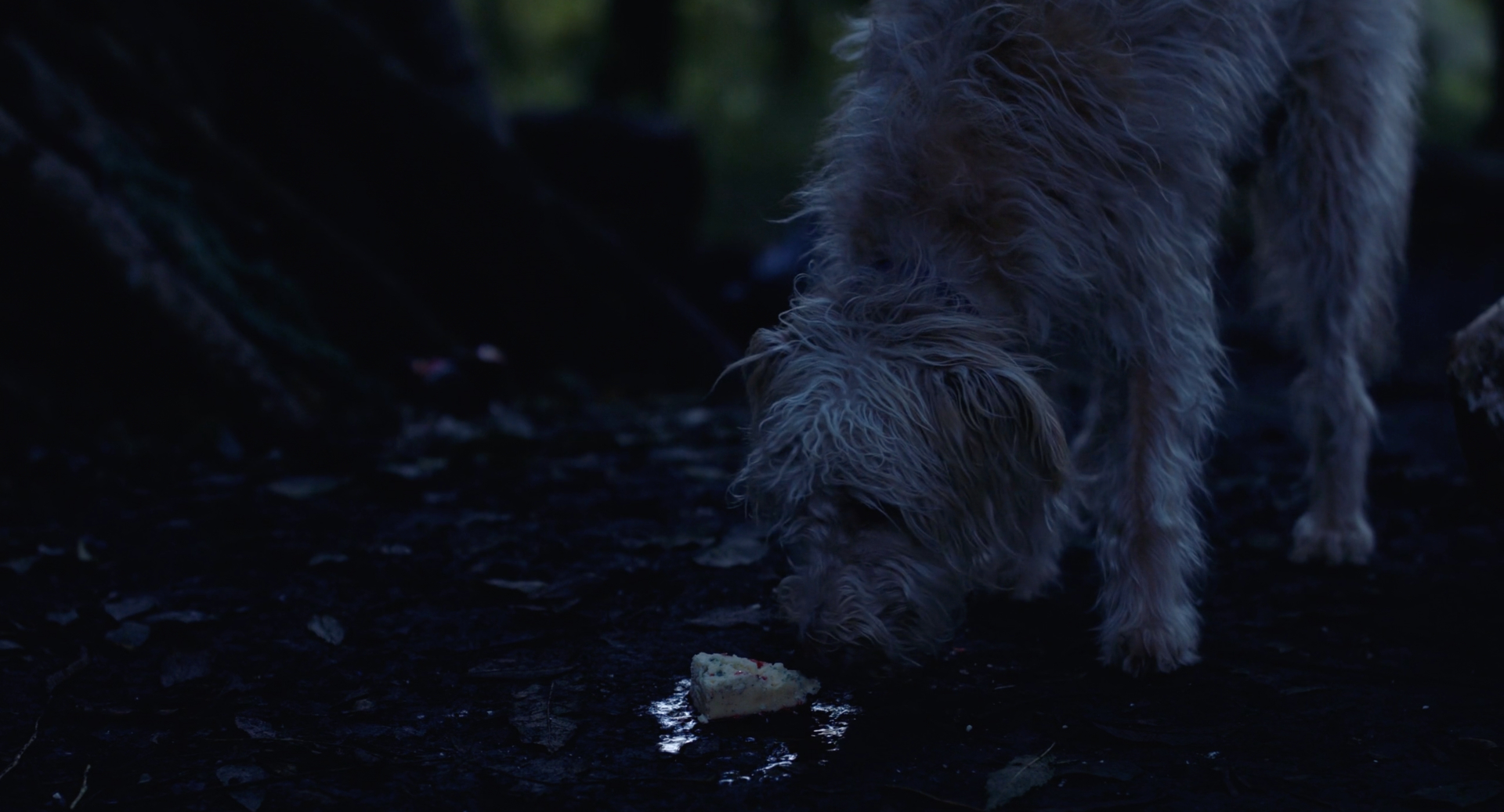 A still from the film Inhibition.